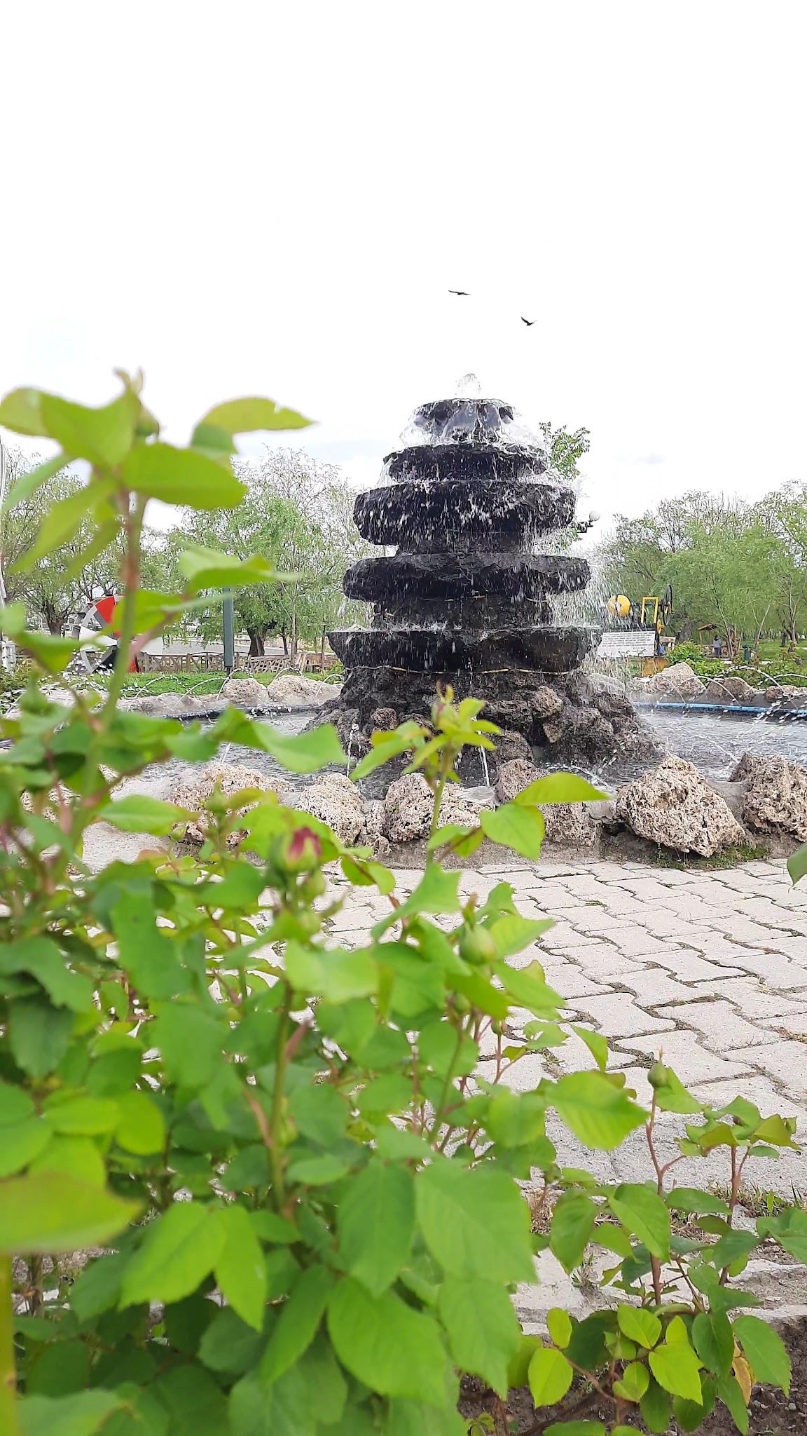 Ekşisu