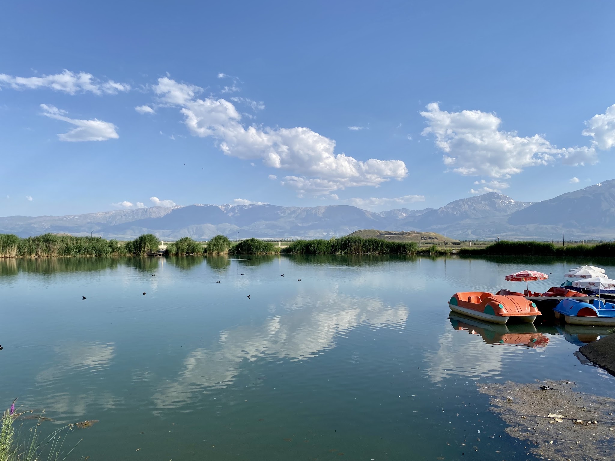 Ekşisu