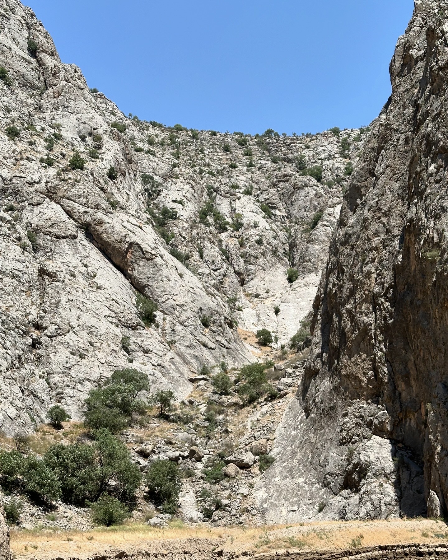 Karanlık Kanyon