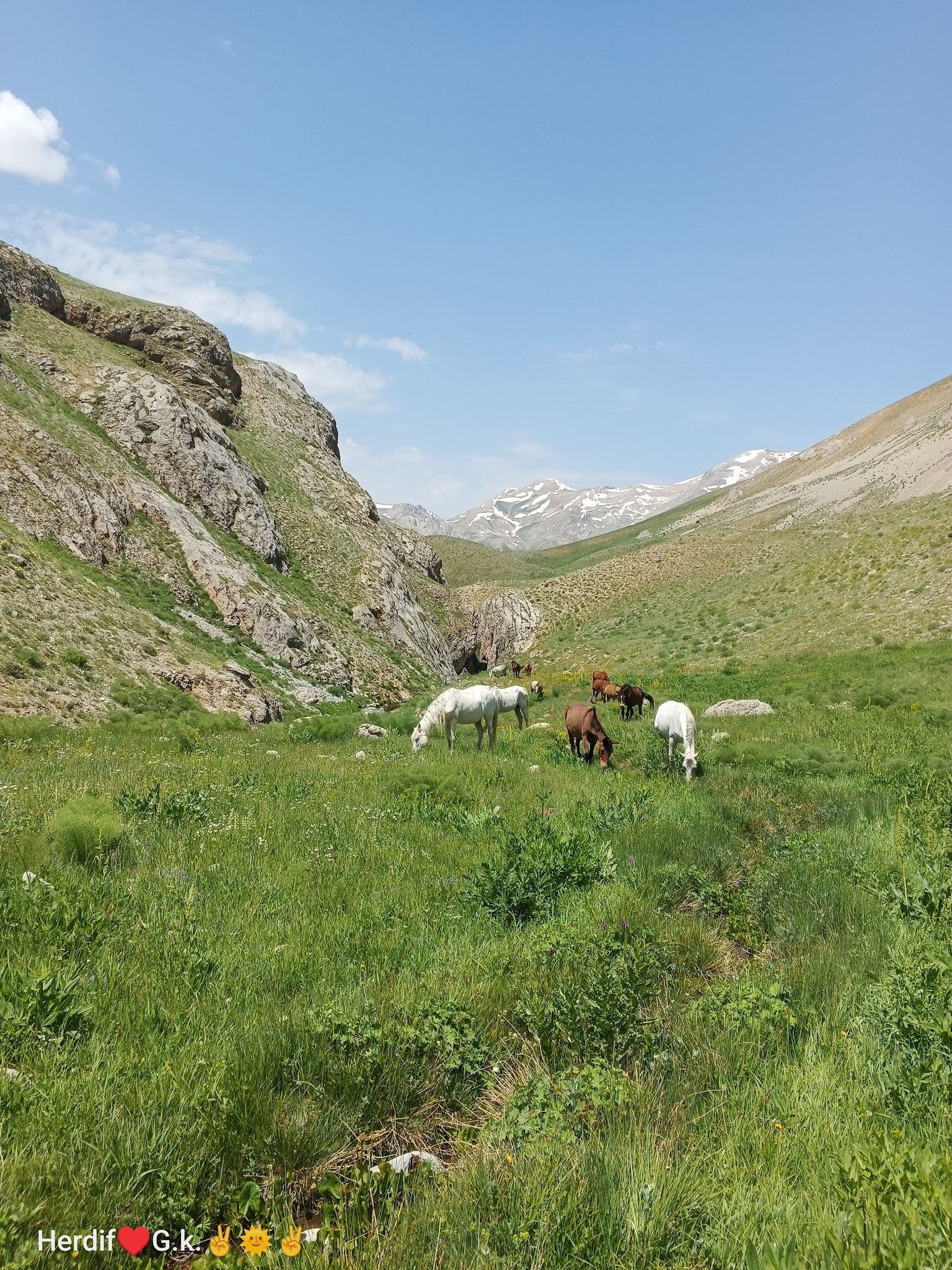 Merg Yaylası