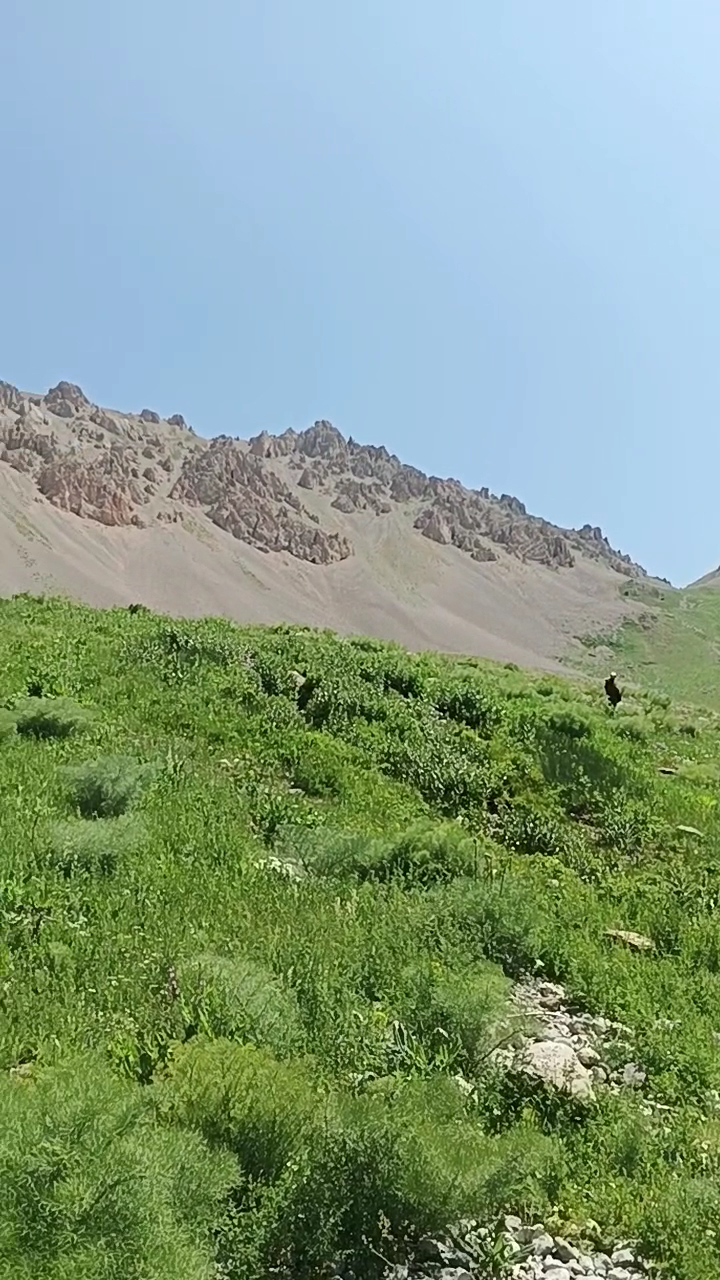 Merg Yaylası